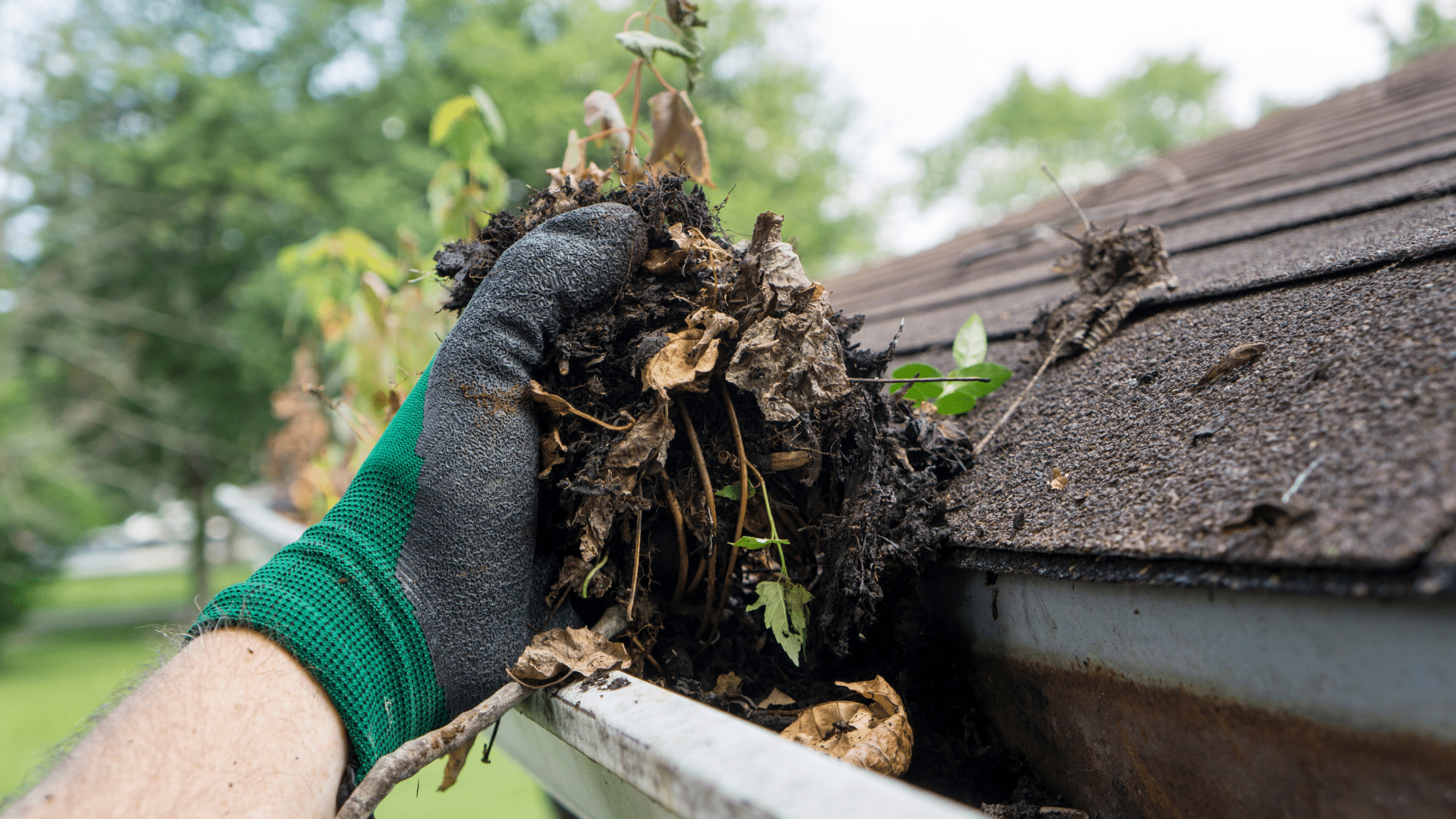 Gutter Cleaning Image